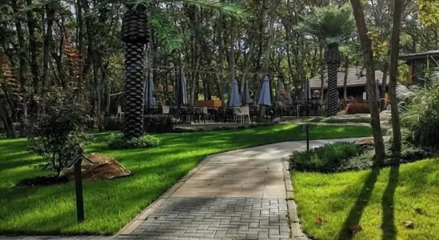Camera doppia Luxury Utopia Forest