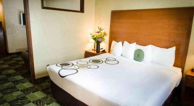 Двухместный номер Standard Deerfoot Inn and Casino