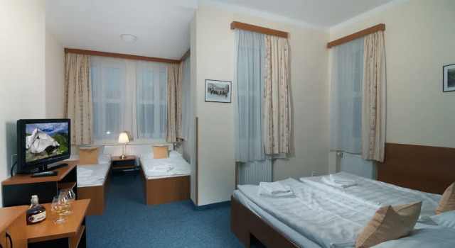 Номер Economy Hotel Domovina