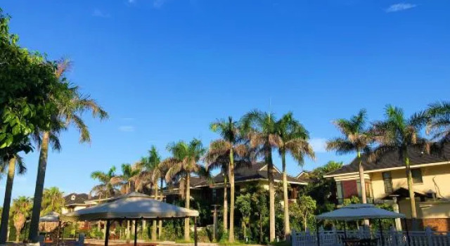 Dongshan Shuangai Boutique B&B (Jinluanwan), Book Bed and Breakfast Zhangzhou Fujian