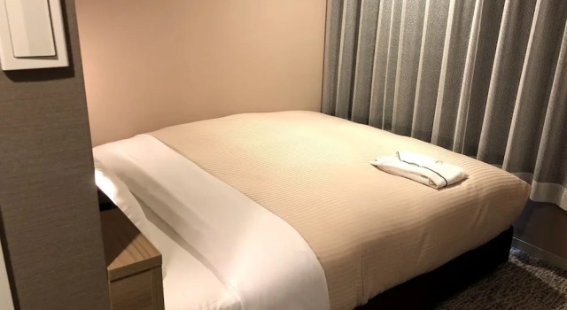 Двухместный номер Moderate Sotetsu Fresa Inn Tokyo Kanda