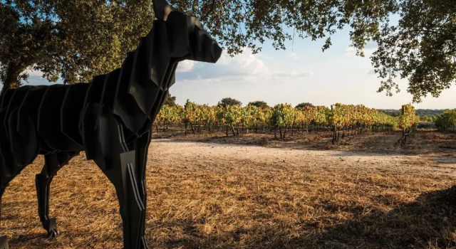 Herdade da Rocha - Boutique Lodge, Prenota Boutique Crato Alto Alentejo