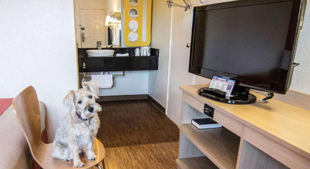 Двухместный номер Standard Motel 6-Coeur DAlene, ID