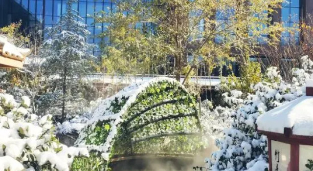 The Winners Palace Hotel, Rezervovat Hotel Jinzhong Shanxi