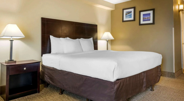 Двухместный номер Standard Comfort Inn International Dr.