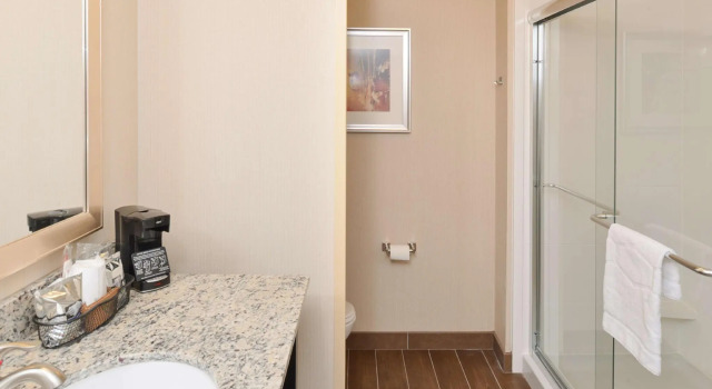 Четырёхместный номер Standard Hampton Inn & Suites Douglas