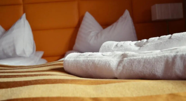 Апартаменты Hotel Pod Dębami