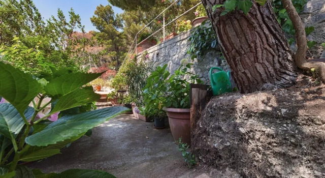 Villa Villa Polifemo in Capri