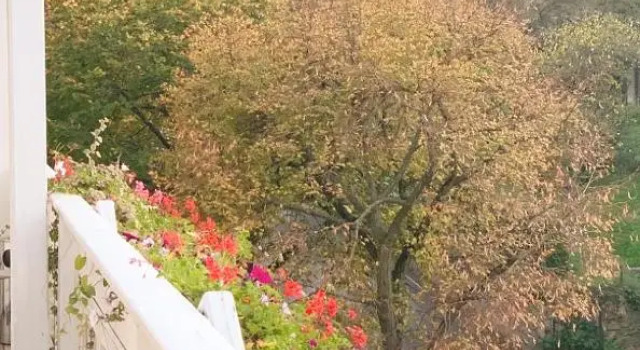 Pension Huber, Book Hotel Klosterneuburg 