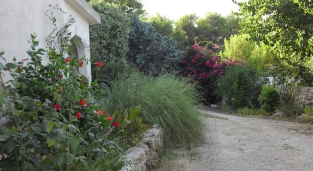B&B Salento, Rezerwuj Bed and Breakfast Pulsano Salento