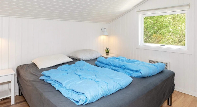 5 Star Holiday Home in Fjerritslev, Забронировать Дом для отпуска Фьерритслев 