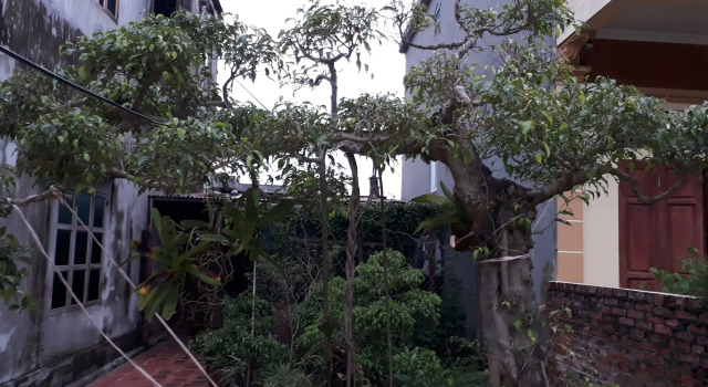 Tamcoc White Swan Hostel, Buchen Sie Hostel Hostels in Thanh Hoa, Hostel