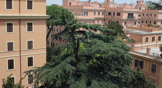 Bed & Breakfast A Casa di Lia a Roma, Buchen Sie Hotel Hotels in Tor Di Quinto mit Parkplatz, Parkplätze