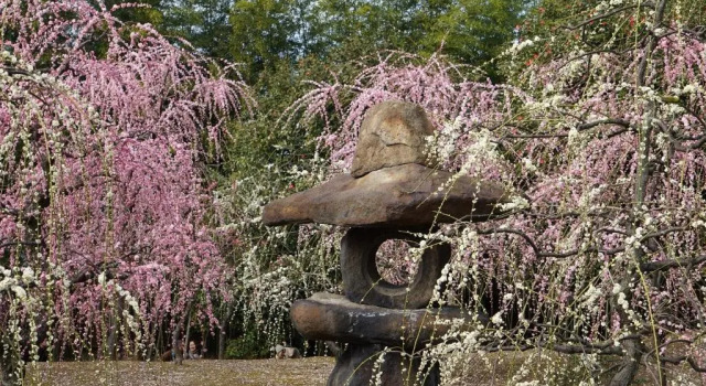 Коттедж Japaning Senkyu
