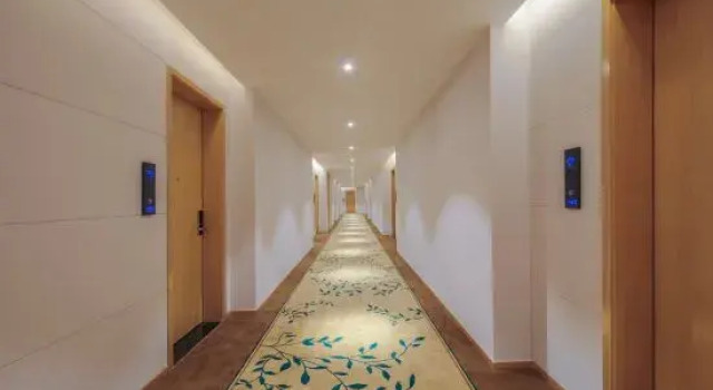 The Hotel V