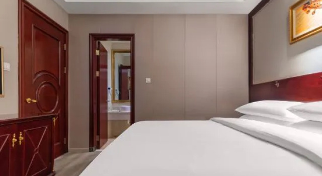 Люкс Standard Vienna Hotel