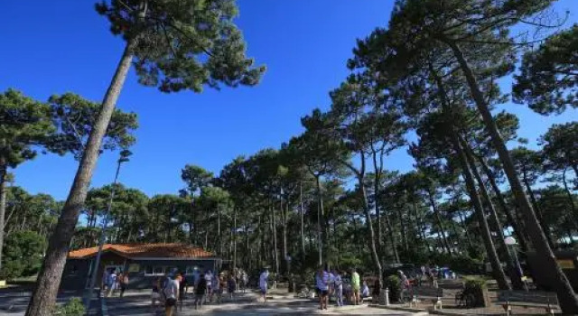 Camping Campole Plage Sud, Забронировать Кемпинг Отели Côte landaise с бассейном, Бассейн