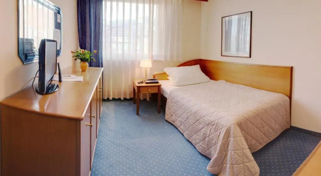 Одноместный номер Standard Hotel Rubin