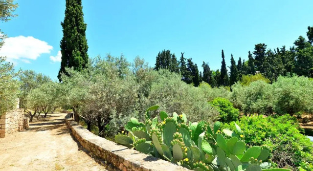 Люкс PYRGOS RALLI ESTATE Guesthouse