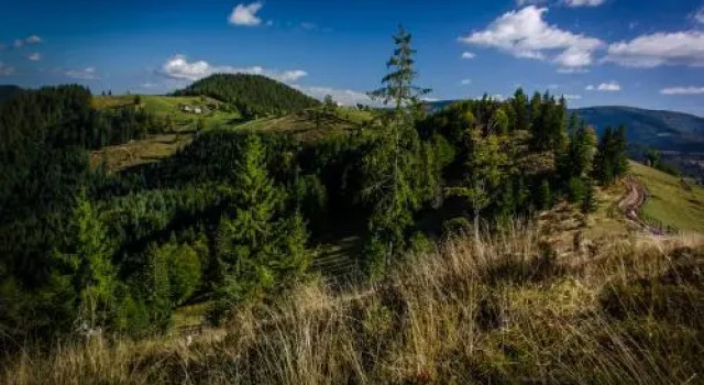 Pensiunea Viorica, Забронировать Отель Арьешени Arieseni-Albac