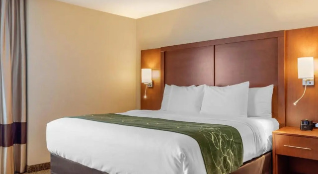 Люкс Superior Comfort Inn & Suites Schenectady - Scotia