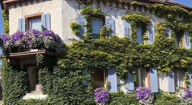 Holiday Apartment Monet in Oberrotweil, Reserva ahora Apartamento Oberrotweil Baden-Wurtemberg