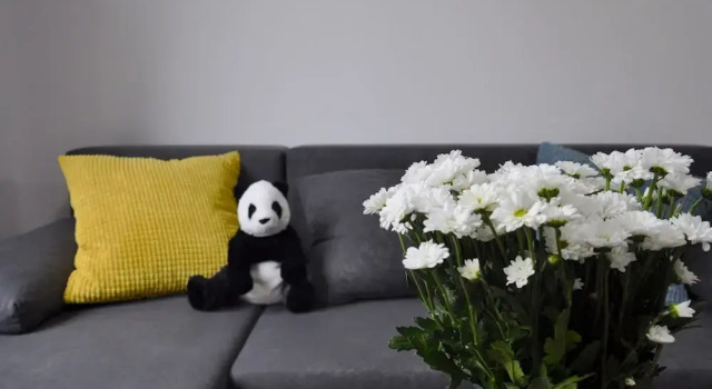 Panda Apartments Grzybowska Modern