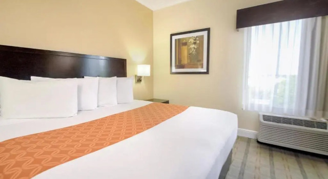 Номер Standard Galleria Palms Orlando