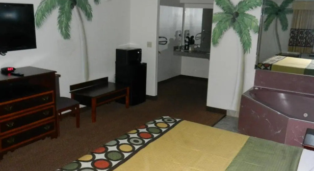 Одноместный люкс Belleza Inn & Suites Humble - FM 1960