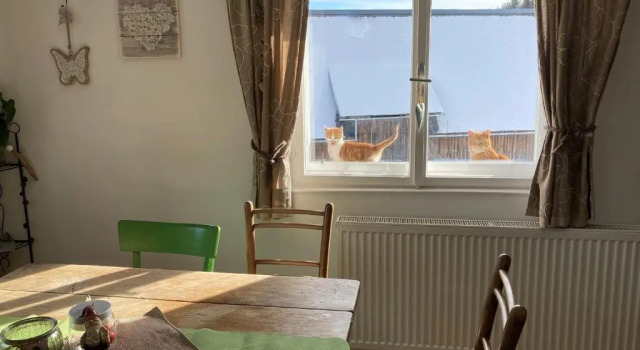 Ferienhaus Zwickelreith, Забронировать Отель Отели Гёстлинг-на-Ибсе 3 звезды, 3*