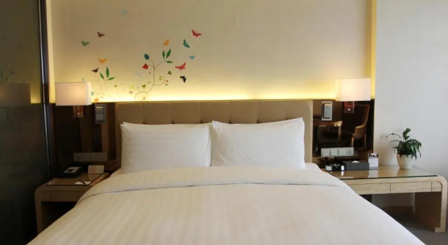 Superior Double room Pullman Linyi Lushang