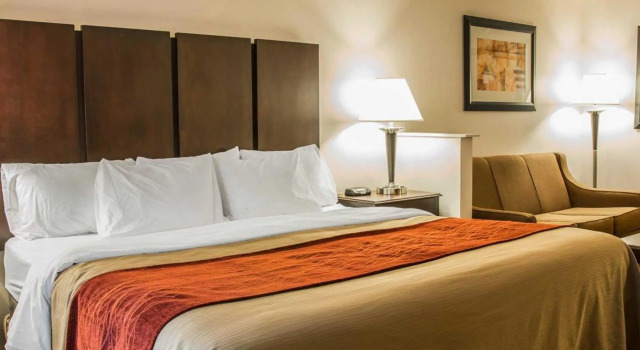 Люкс Comfort Inn & Suites Fenton