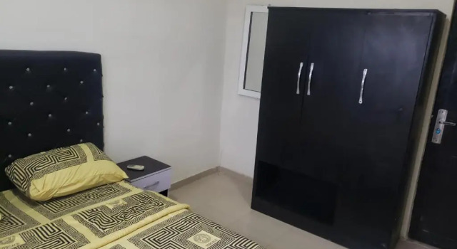 Deluxe 3 BR Apartment with Free WIFI