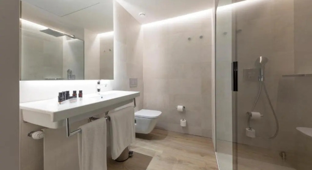 Номер Standard Hotel & Spa Terraza 4 Sup