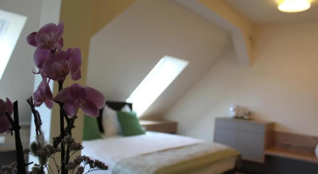 Трёхместный номер Comfort Hotel Braun