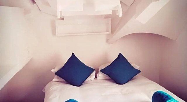 Номер Standard Daddy Long Legs Art Hotel