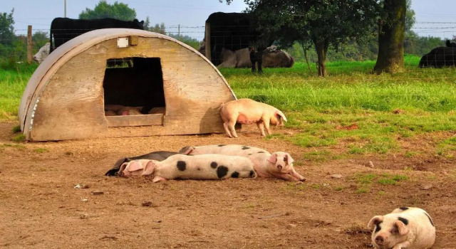 Mongolian Yurts Fordhall Organic Farm, Забронировать Фермерский дом Фермерские дома Англии, Фермерский дом