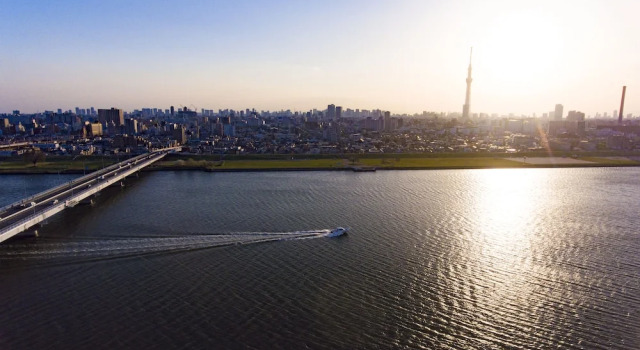 Люкс Tokyo villa riverside HIRAI