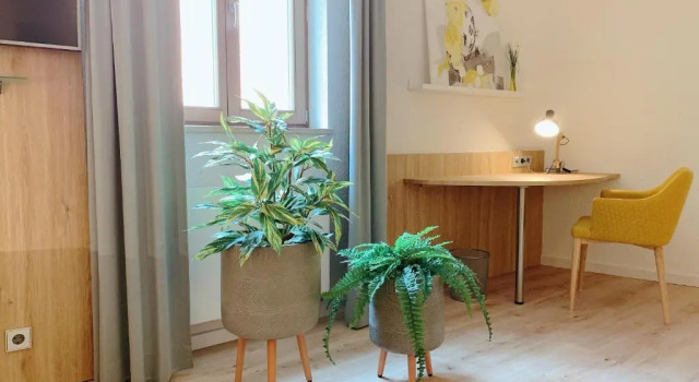 Двухместная студия Deluxe Apartmenthaus Blauer Wolf by ROom for LIving Gunzenhausen