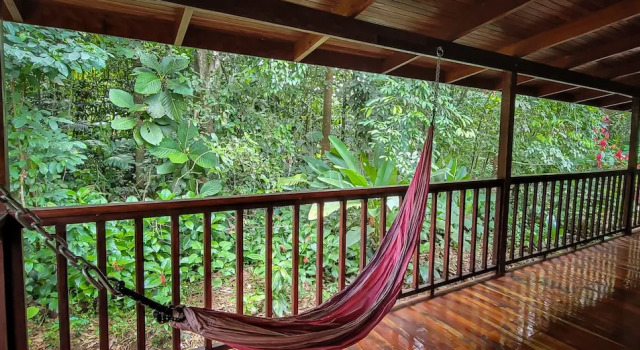 Четырёхместный номер Standard с балконом Selva Verde Lodge