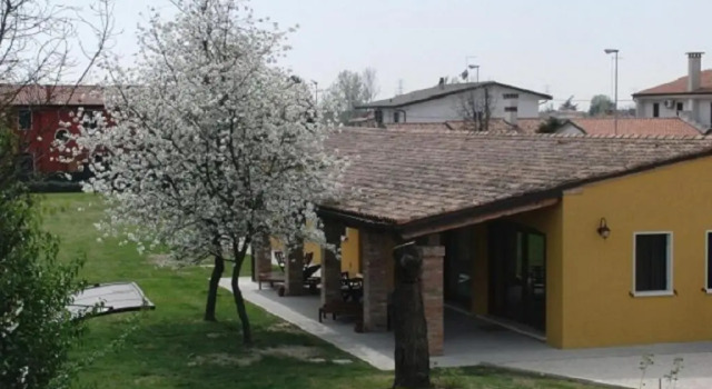 Particolari del Brenta