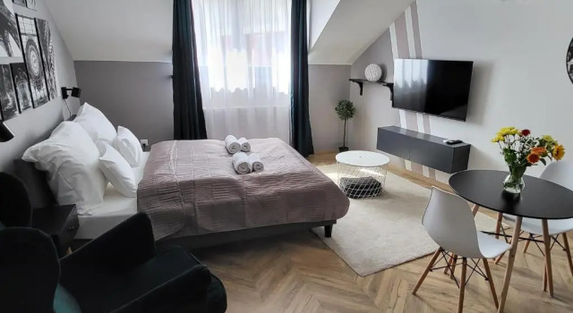 Студия Dotis Apartman Tata