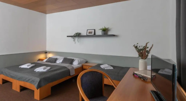Standard Quádruplo quarto Sedy Vlk