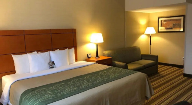 Номер Deluxe Comfort Inn Metro Airport