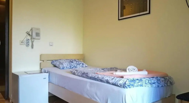 Трёхместный номер Standard Hotel Pelikan