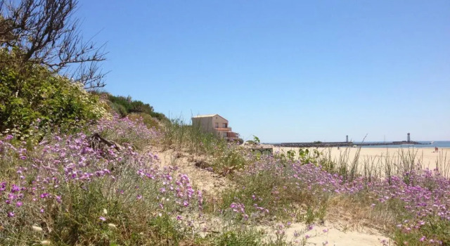 Vias Plage - Maison de vacances