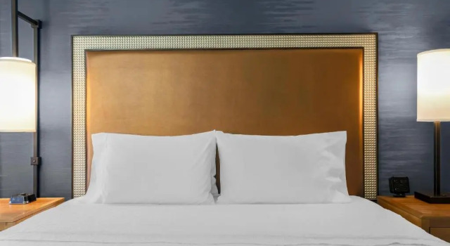 Двухместный номер Hampton Inn & Suites Austin - Downtown