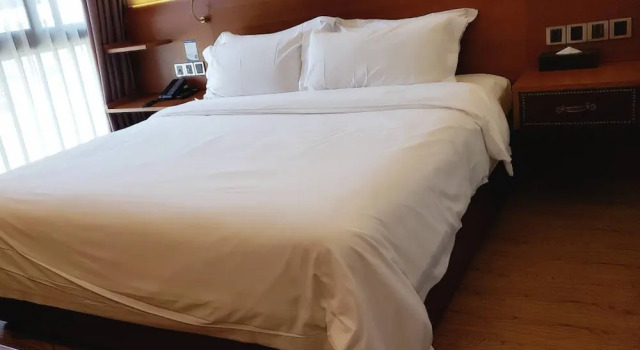 Номер Superior ibis Styles Shanghai Zhangjiang