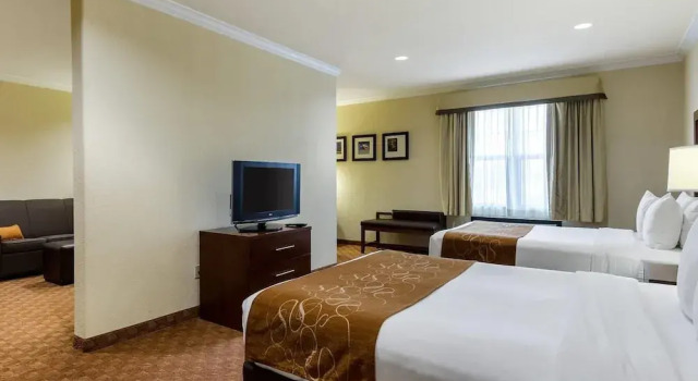 Одноместный люкс Comfort Suites near NASA - Clear Lake