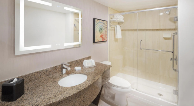 Номер Standard Hilton Garden Inn Montreal Centre-Ville